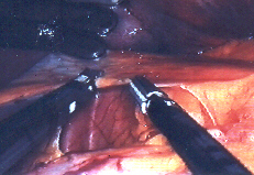 AUTOSONIX.jpg (40913 Byte)